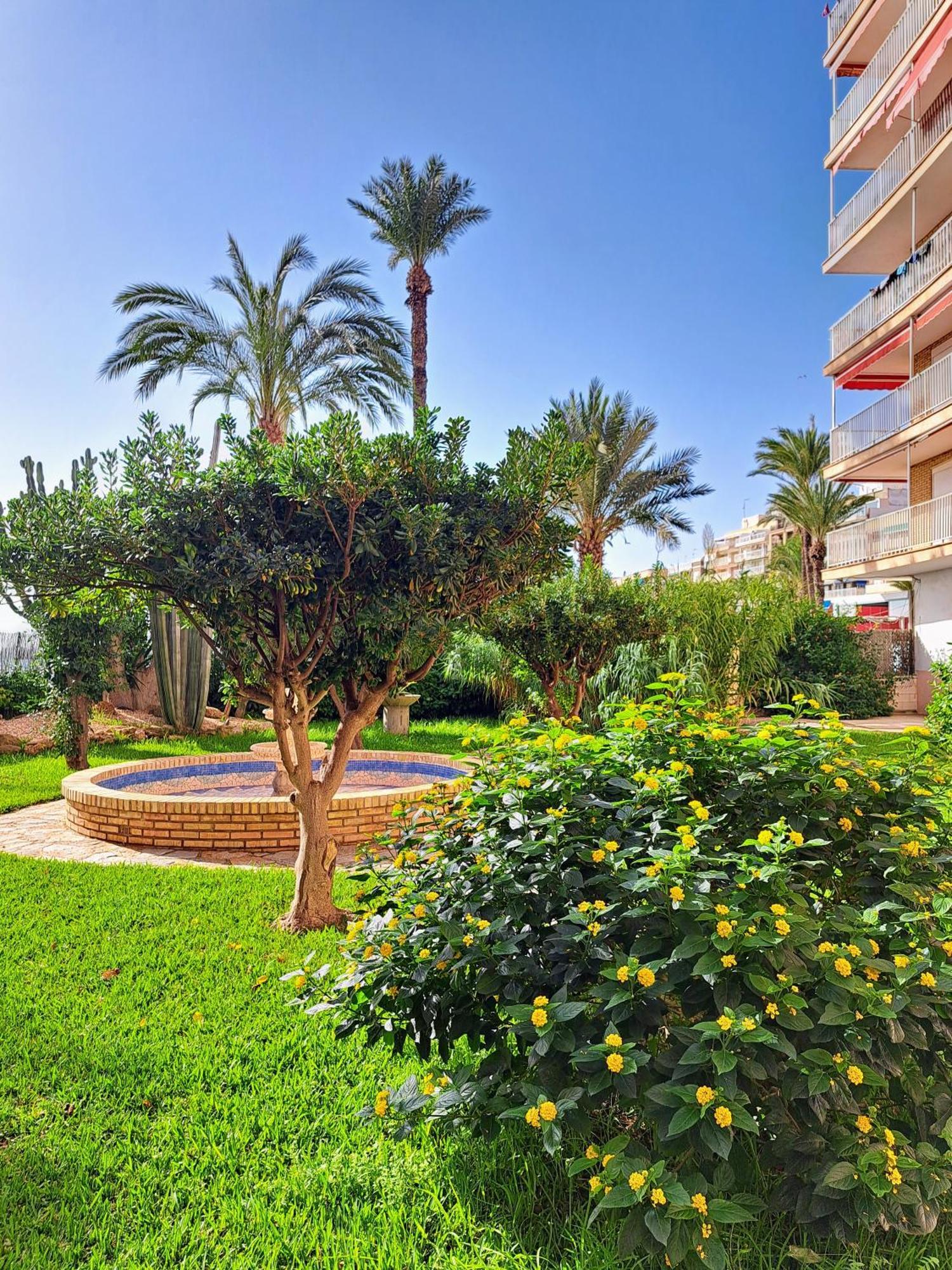 Garden Beach Apartment Torrevieja Eksteriør bilde
