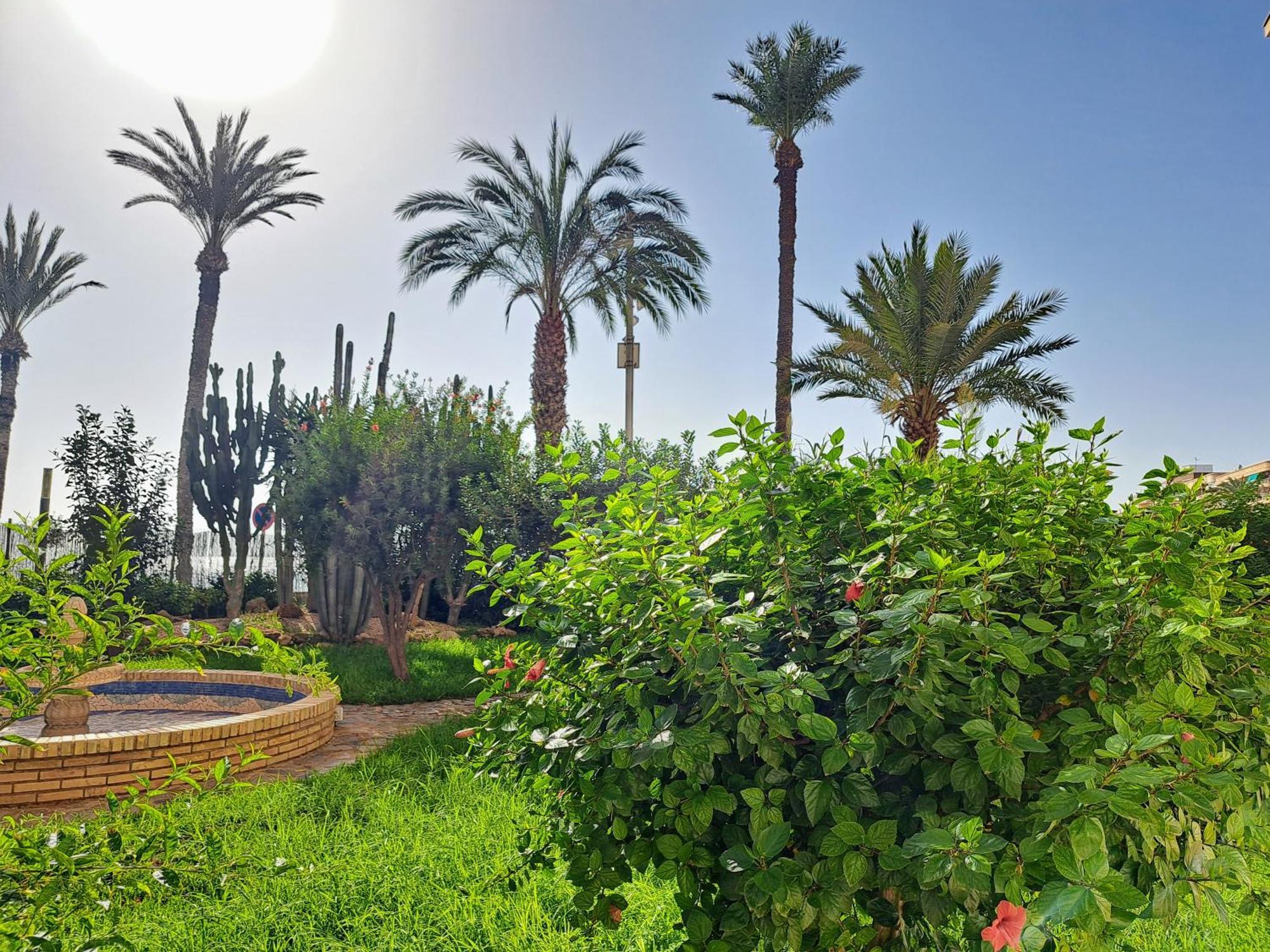 Garden Beach Apartment Torrevieja Eksteriør bilde
